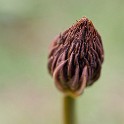 0E6A1304_DxO_1