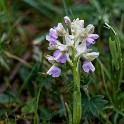0E6A1381_DxO