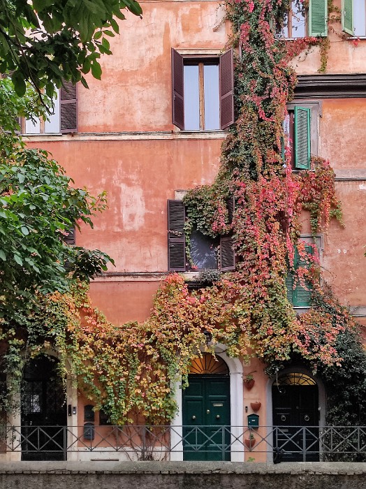 IMG_20241119_163052_DxO