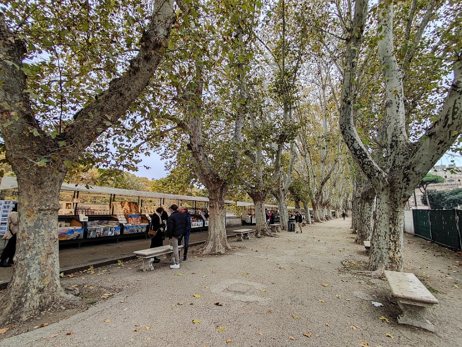 IMG_20241120_104826_DxO