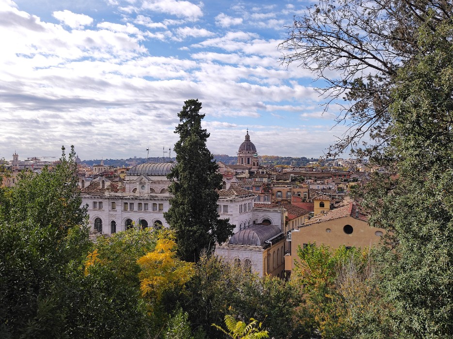 IMG_20241121_104050_DxO