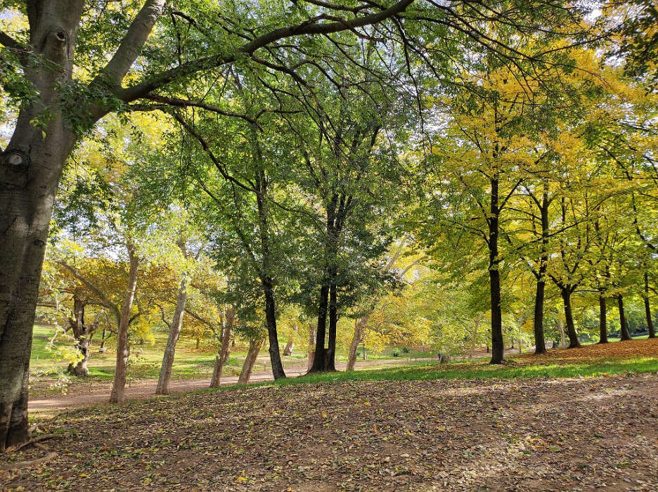 IMG_20241121_110454_DxO